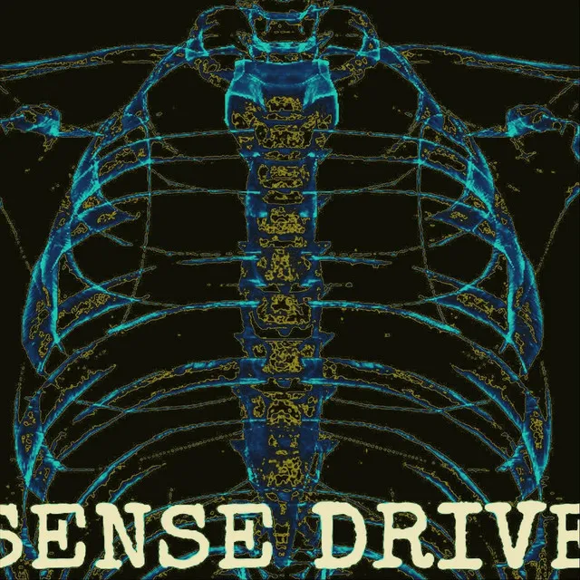 SENSE DRIVE