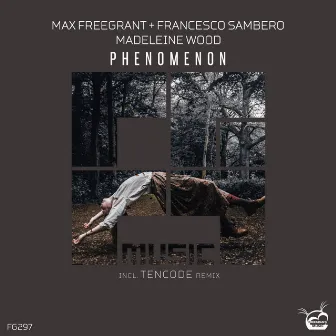 Phenomenon by Francesco Sambero