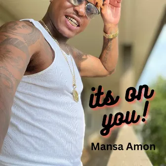 Its On You by Mansa Amon