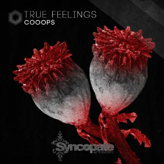 True Feelings by Cooops