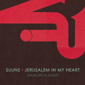 Gazelles In Flight by Jerusalem in My Heart