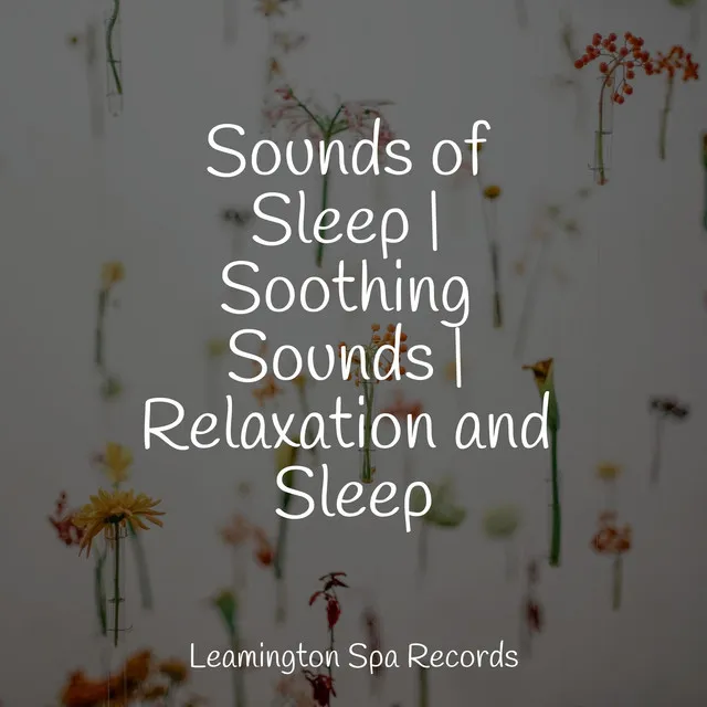 Sounds of Sleep | Soothing Sounds | Relaxation and Sleep