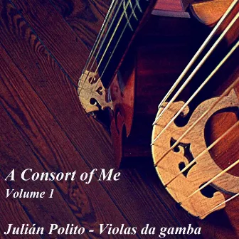 A Consort Of Me (Vol. 1) by Julián Polito