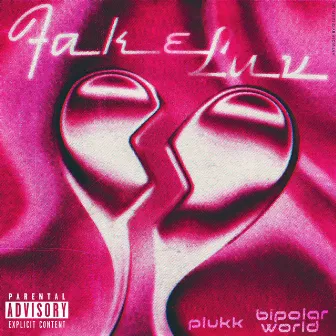 Fake Luv by Plukk