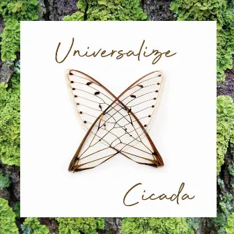 Cicada by Universalize