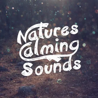 Nature's Calming Sounds by Unknown Artist