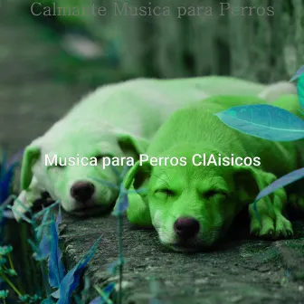 Calmante Musica para Perros by Musica para Perros ClAisicos