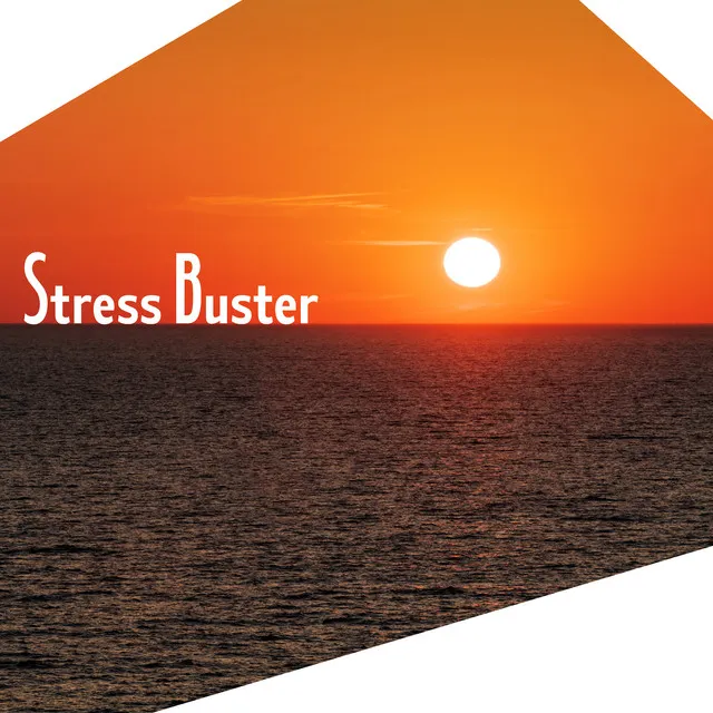 Stress Buster