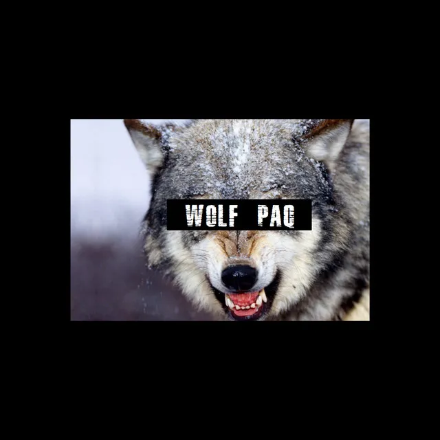 WOLF_PAQ