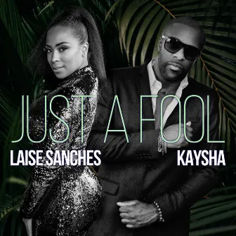 Just a Fool (Remixes) by Laise Sanches