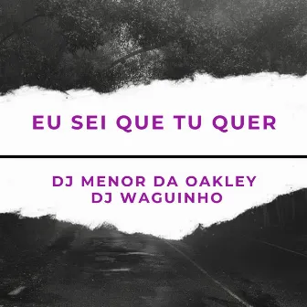 Eu Sei Que Tu Quer by DJ MENOR DA OAKLEY