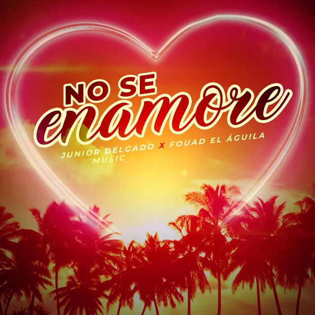 No Se Enamore