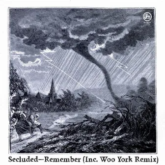 Remember (Inc Woo York Remix) by Secluded