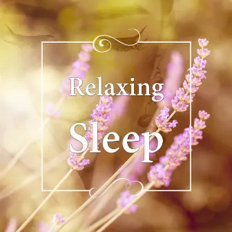 Relaxing Sleep - Sleep Meditation Music, Destress, Bedtime Songs to Help You Relax, Meditate, Restful by Trouble Sleeping Club