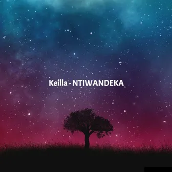 Ntiwandeka by Keilla