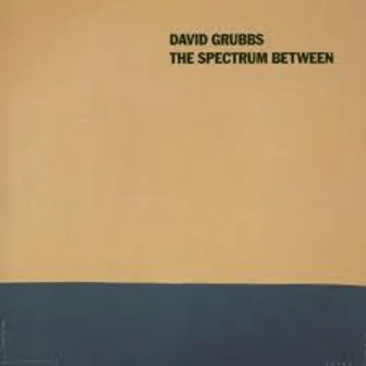 The Spectrum Between by David Grubbs