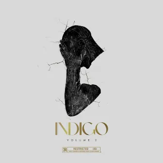 Indigo, Vol. 2 by Devon Fresh