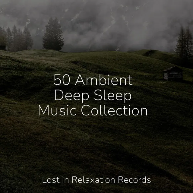 50 Ambient Deep Sleep Music Collection