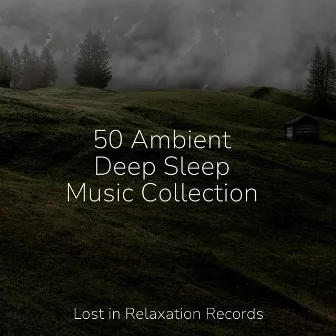 50 Ambient Deep Sleep Music Collection by Lullabies for Deep Meditation