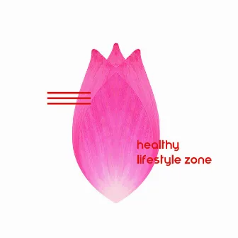 Healthy Lifestyle Zone – Mindfulness New Age Sounds for Meditation, Yoga and Relaxation by Healthy Lifestyle Unit