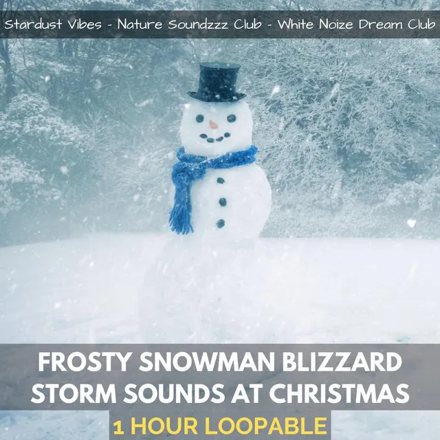 Frosty Snowman Blizzard Storm Sounds at Christmas (One Hour Loopable)