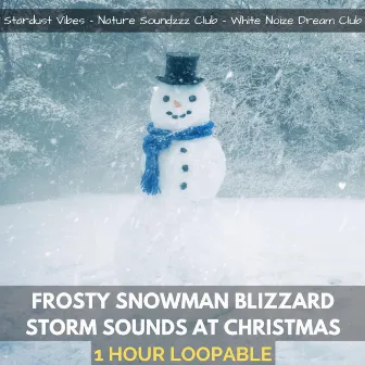 Frosty Snowman Blizzard Storm Sounds at Christmas (One Hour Loopable) by White Noize Dream Club