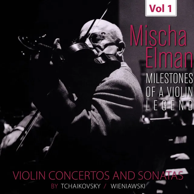 Violin Concerto in D Major, Op. 35, TH 59: I. Allegro moderato