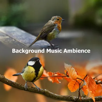 Background Music Ambience by Nano Sounds