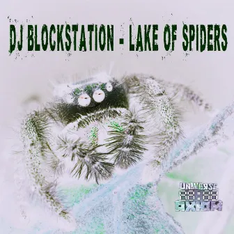 Lake Of Spiders by DJ BlockStation