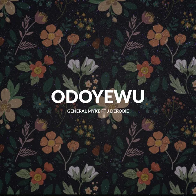 Odoyewu