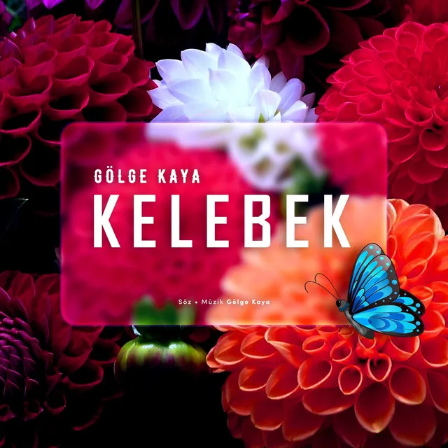 Kelebek