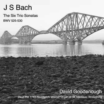 Bach: The Six Trio Sonatas by David Goodenough