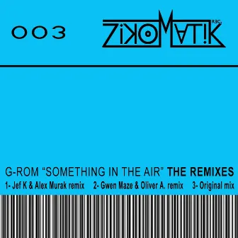 Something in the Air (The remixes) by G-ROM