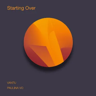 Starting Over by Paulina Vo