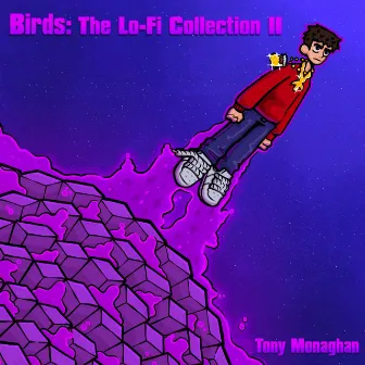 Birds: The Lo-Fi Collection II by Toeknee