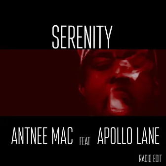 Serenity (Radio Edit) by Antnee Mac