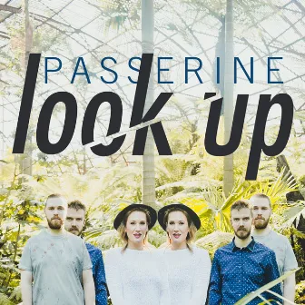 Look Up by Passerine