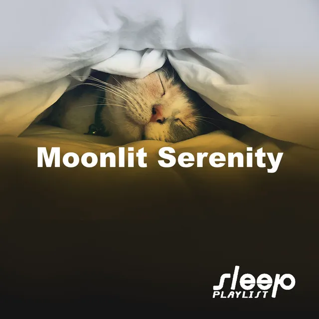 Moonlit Serenity