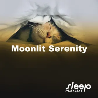 Moonlit Serenity by Sleep Playlist