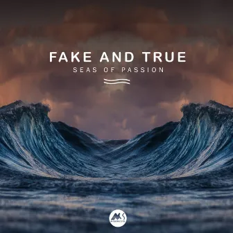 Seas of Passion by Fake and True