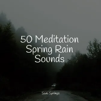 50 Meditation Spring Rain Sounds by Relaxing Music