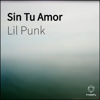 Sin Tu Amor by Lil Punk