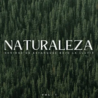 Naturaleza: Sonidos De Estanques Bajo La Lluvia Vol. 1 by Sonidos de lluvia y naturaleza