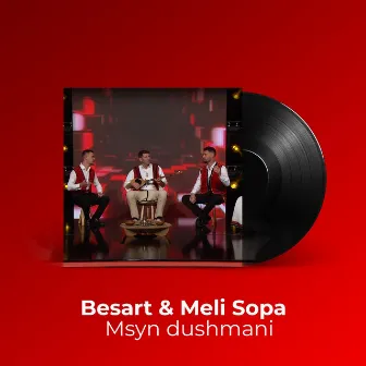 Msyn dushmani by Besart Sopa