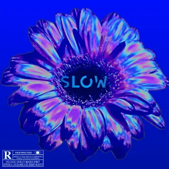 Slow by Perc Produções