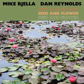 Seed and Flower by Mike Bjella