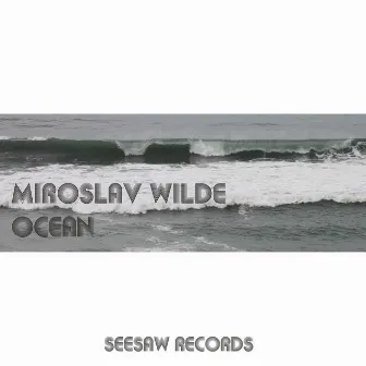 Ocean by Miroslav Wilde