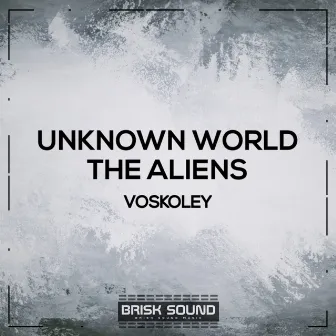 Unknown World / The Aliens by Voskoley