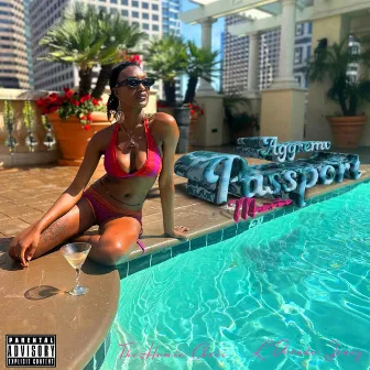 Passport Music by The Homie Chris