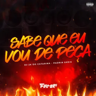 SABE QUE EU VOU DE PEÇA by Dj 2K do Catarina